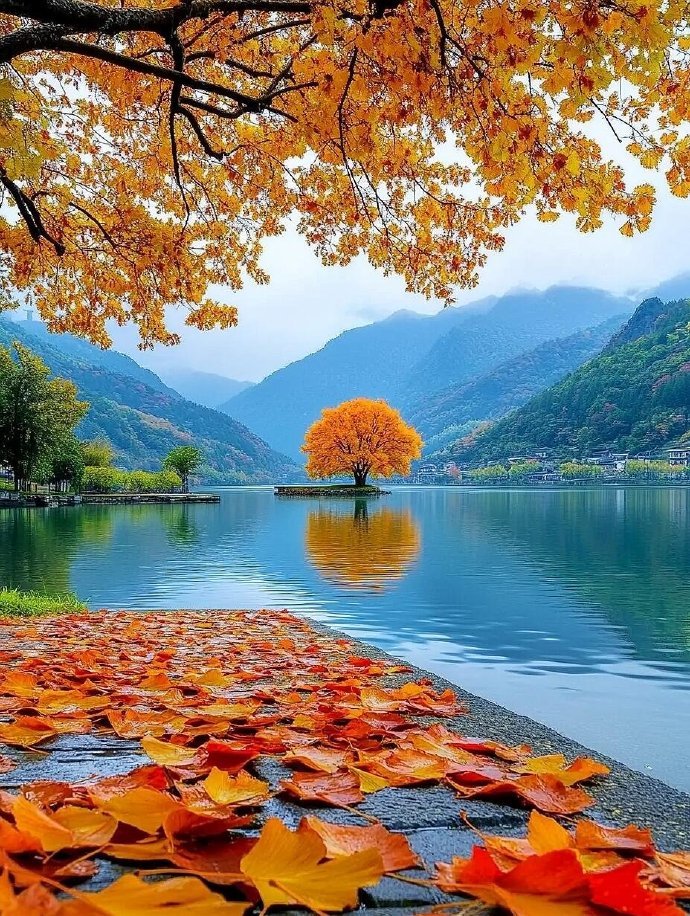 ��˪��԰������ָ�ϡ�