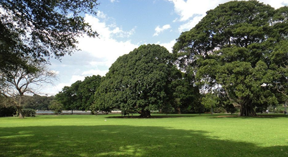 Ϊʲô��ƺ�᳤��̦��