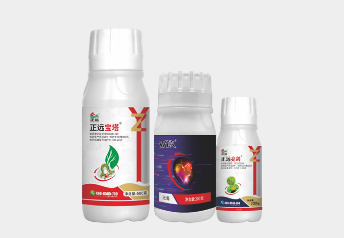 ���ɺ�����ʩ�ײ�