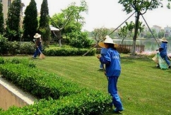 ����жϲ�ƺ�Ƿ���Ҫ��ˮ��