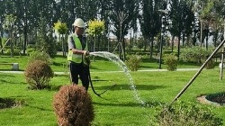 ��ƺ�޼���ˮ��Ӧ�ý�͸����ֻ�����棿