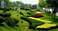 ԰���̻�ʩ����ע����������Щ��