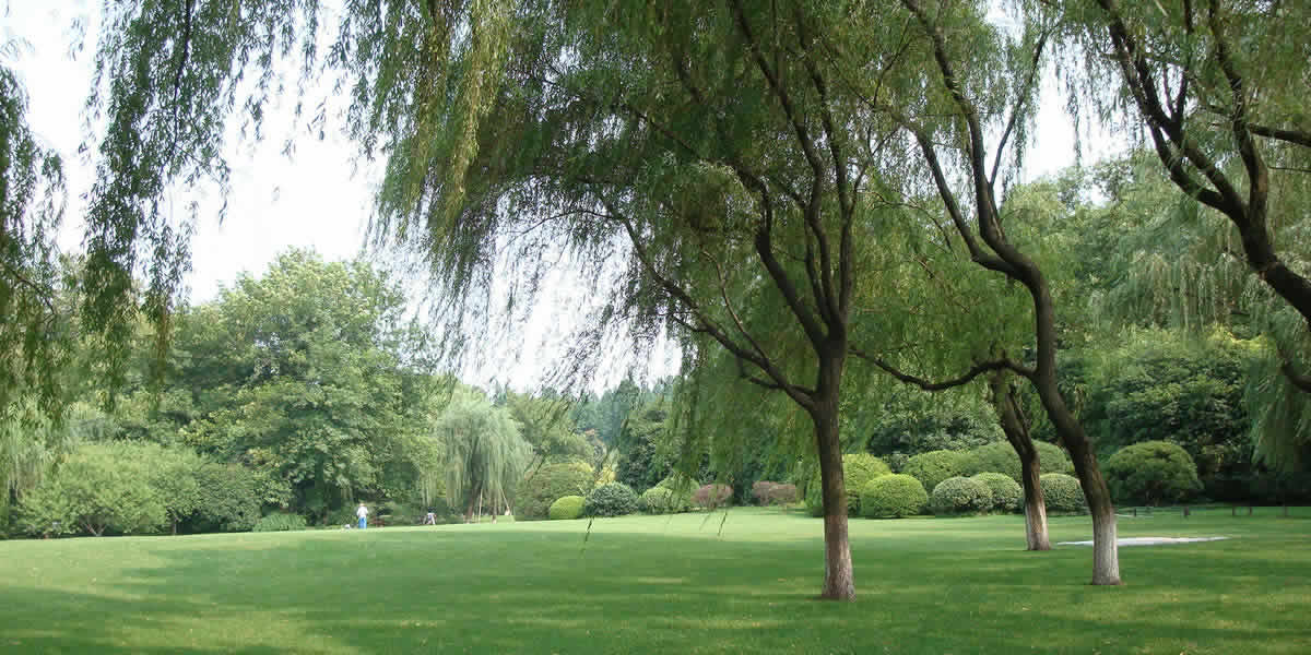 ����ʹ����Զ԰��ʦ���ݼ�������Ч��