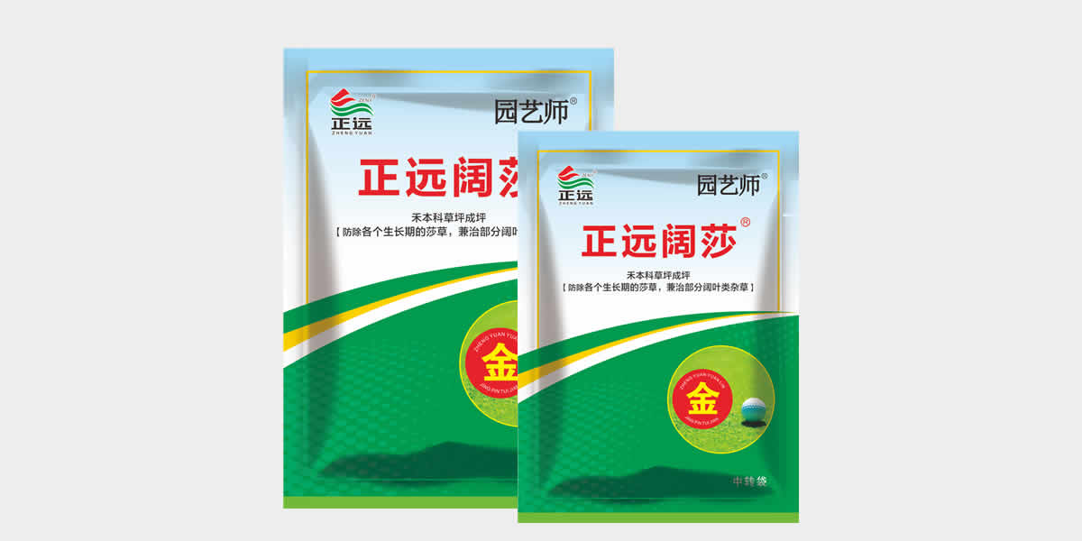 ����ɯ-��ƺ��Ҷ�ӲݵĿ���