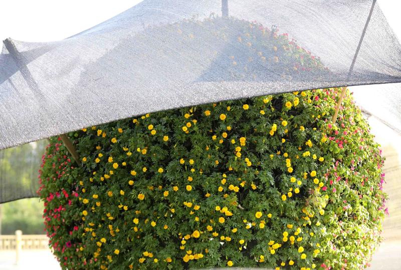 ������ȱ��֢������